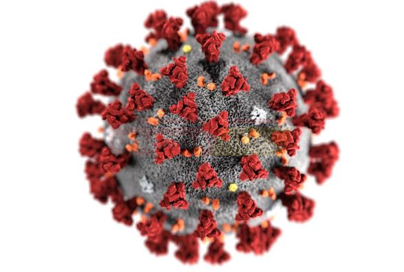‘No Evidence’ That Recovered COVID-19 Patients Cannot be Reinfected- WHO
