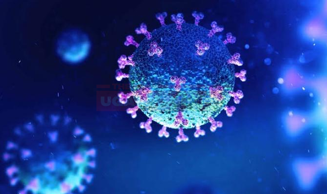 40 New COVID-19 Cases Confirmed