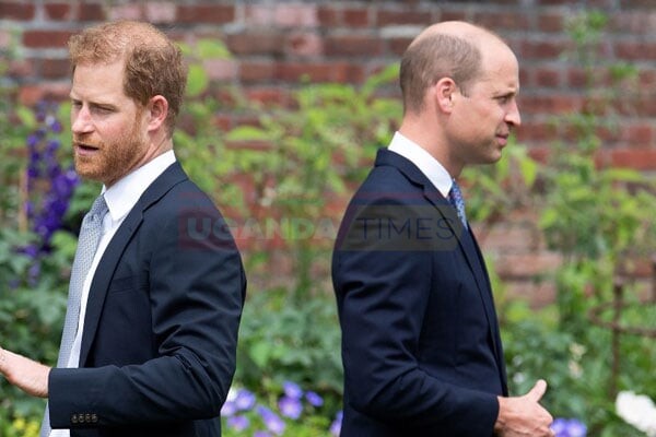 Prince Harry accuses brother William of 2019 physical attack